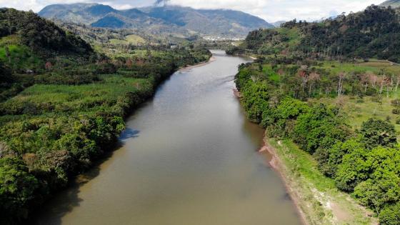 Países presentaron plan para proteger la Amazonía